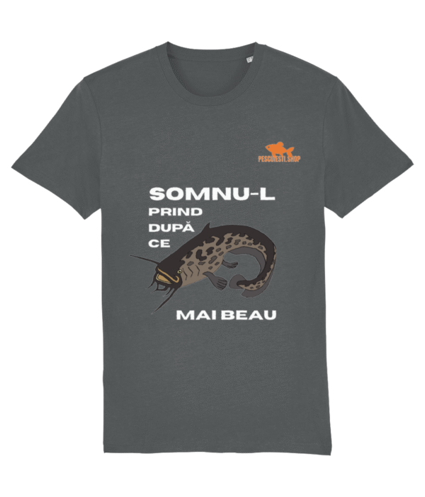 Somnu-l prind dupa ce mai beau light Crafter