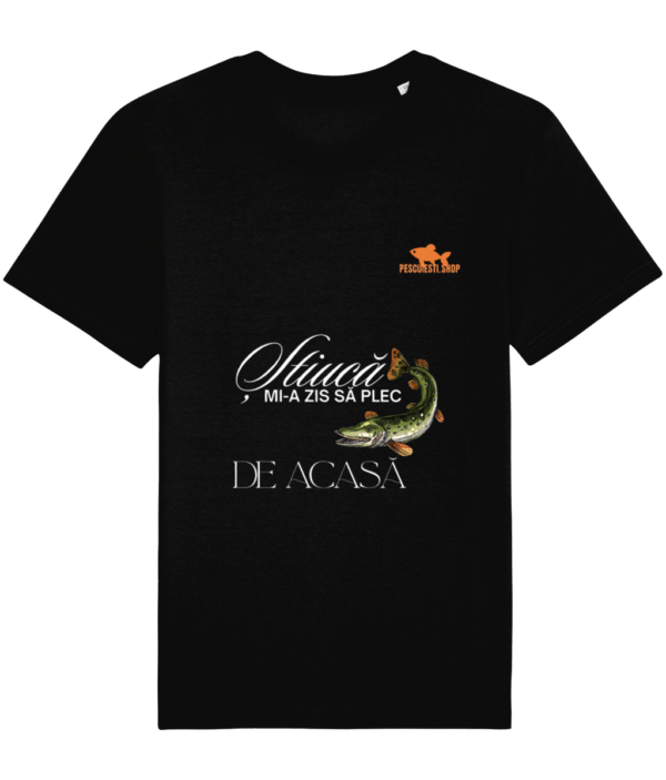 Stiuca mi-a zis sa plec de acasa